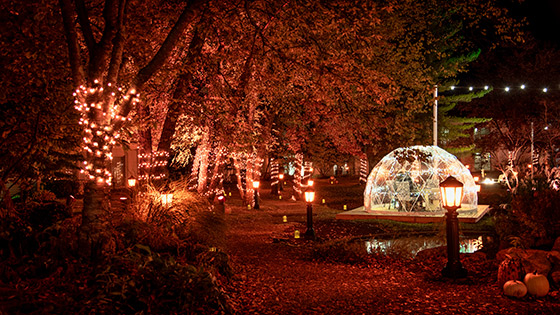 Autumn-Lights-Igloos-560x315 Autumn Lights Igloos 2022