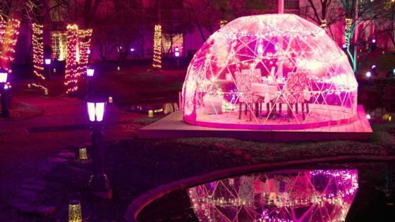 blooms and bulbs 2026 blooms and bulbs