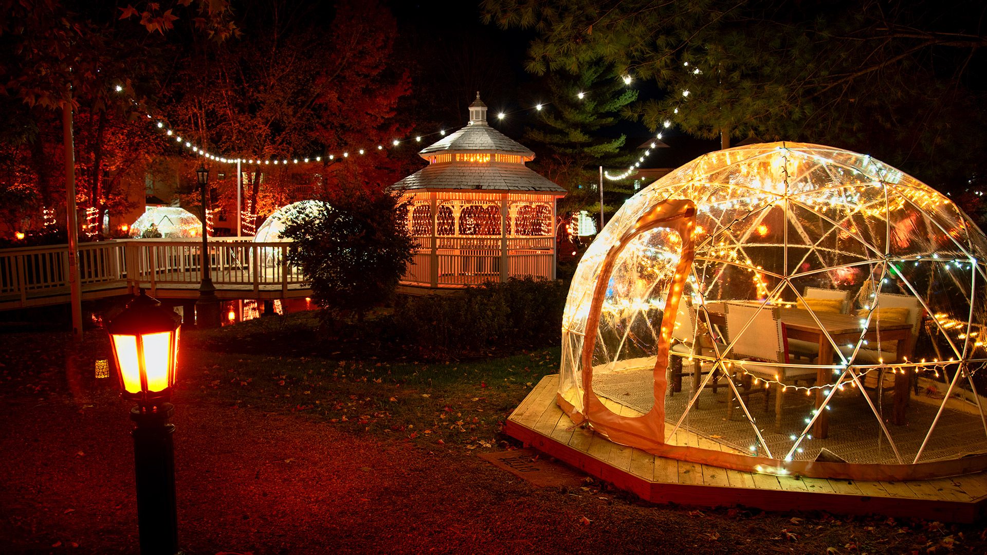 Autumn Lights Igloo 2022